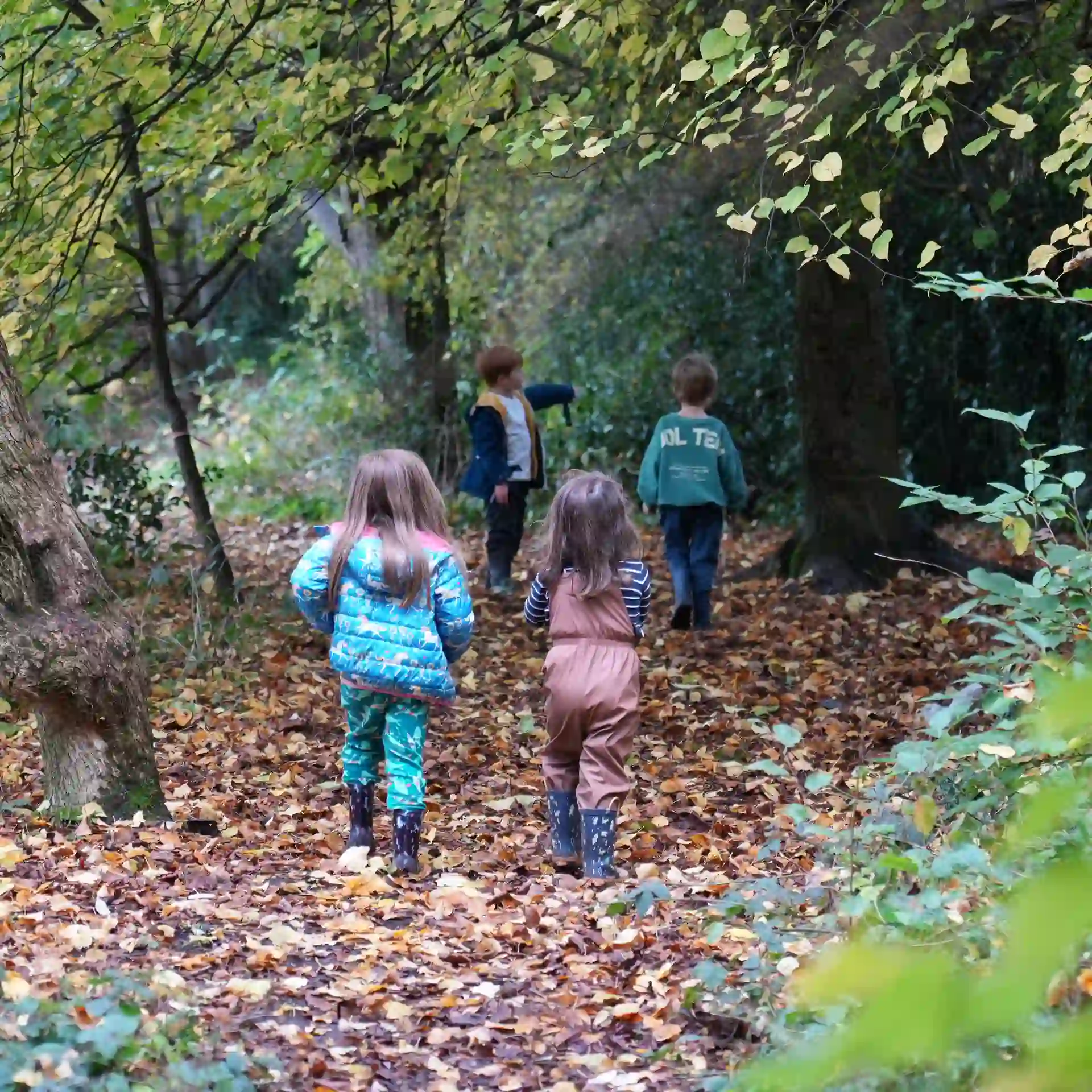 A group of children exploring the forest.