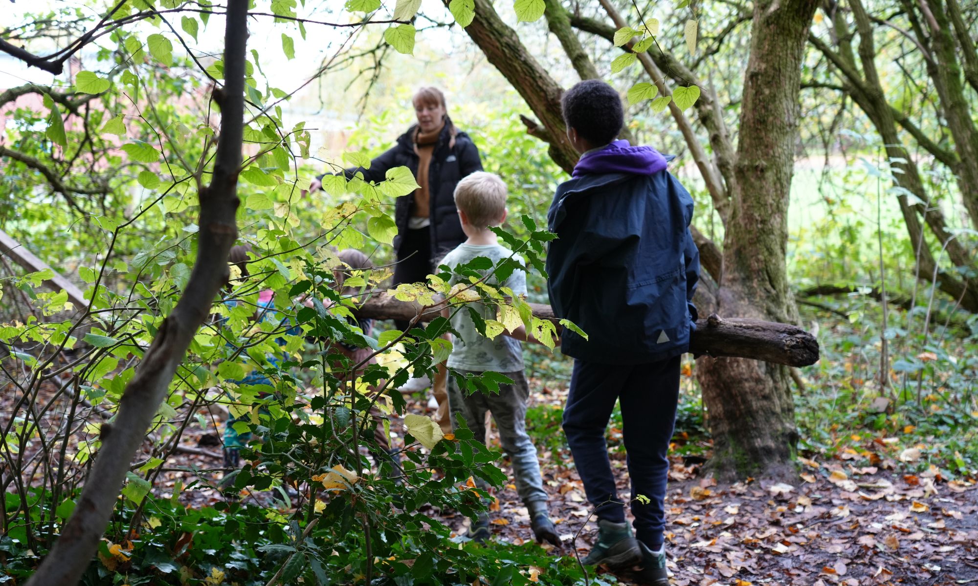 A staff member pointing and talking to two children in a forest.