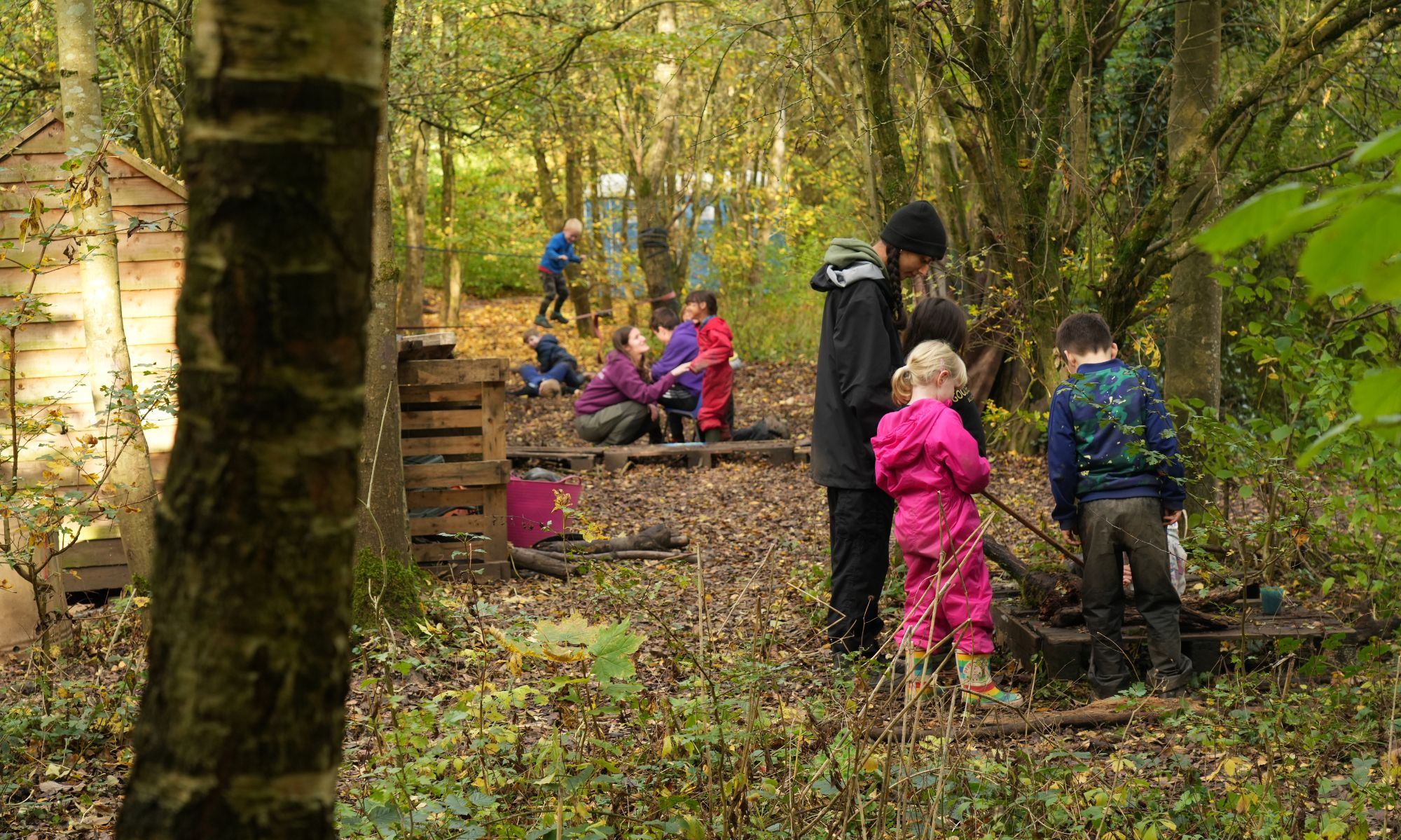 Multiple groups of children and forest school workers exploring the forest.