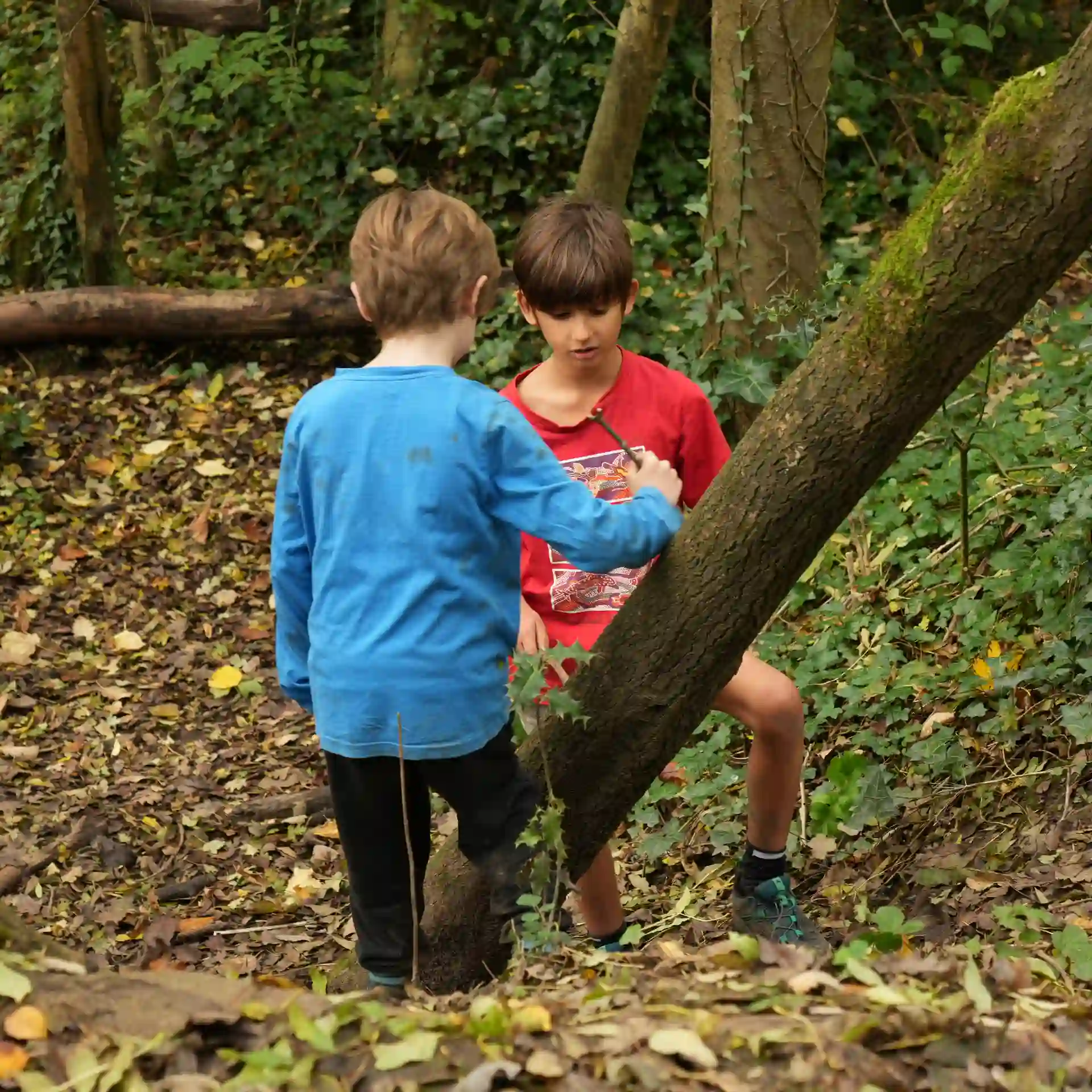 Two boys stood exploring the woodland.