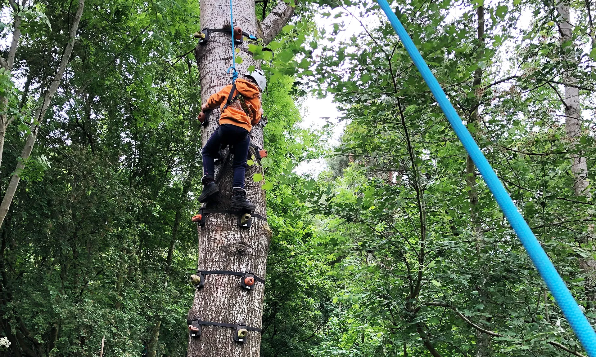 A child taking part in a climbing activity provided by We Are Adventurers.