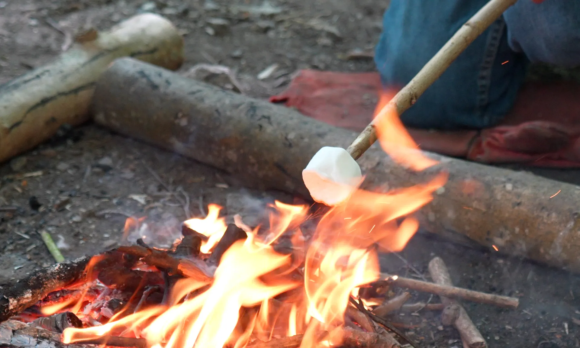 A close up of someone roasting a marshmallow.