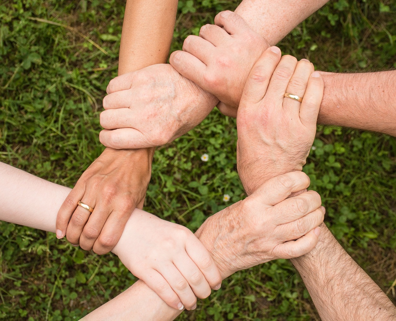 A group of people holding each other's wrists.